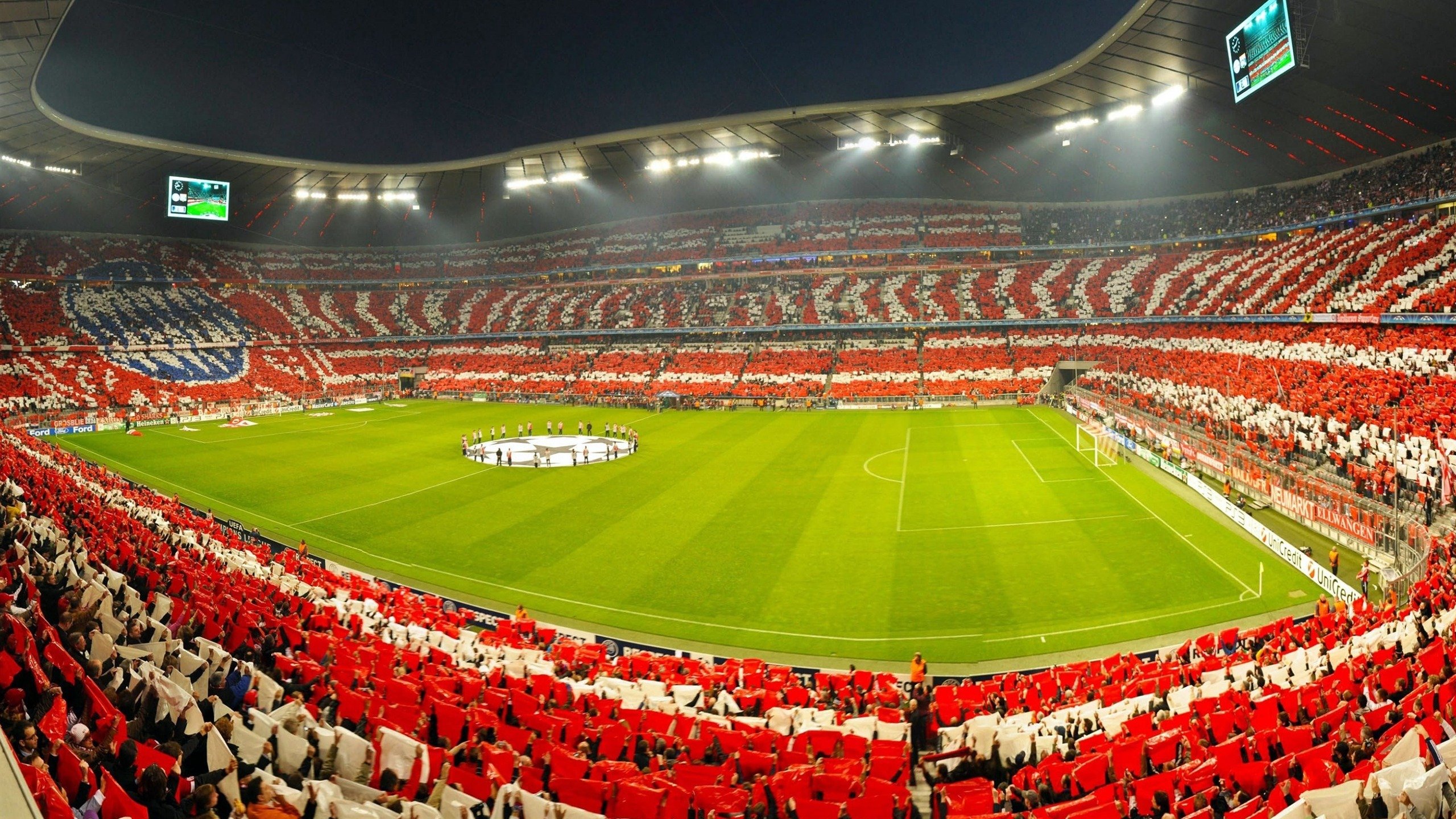 “武术之美：高新体育中心赛场上的身手与气质共舞”