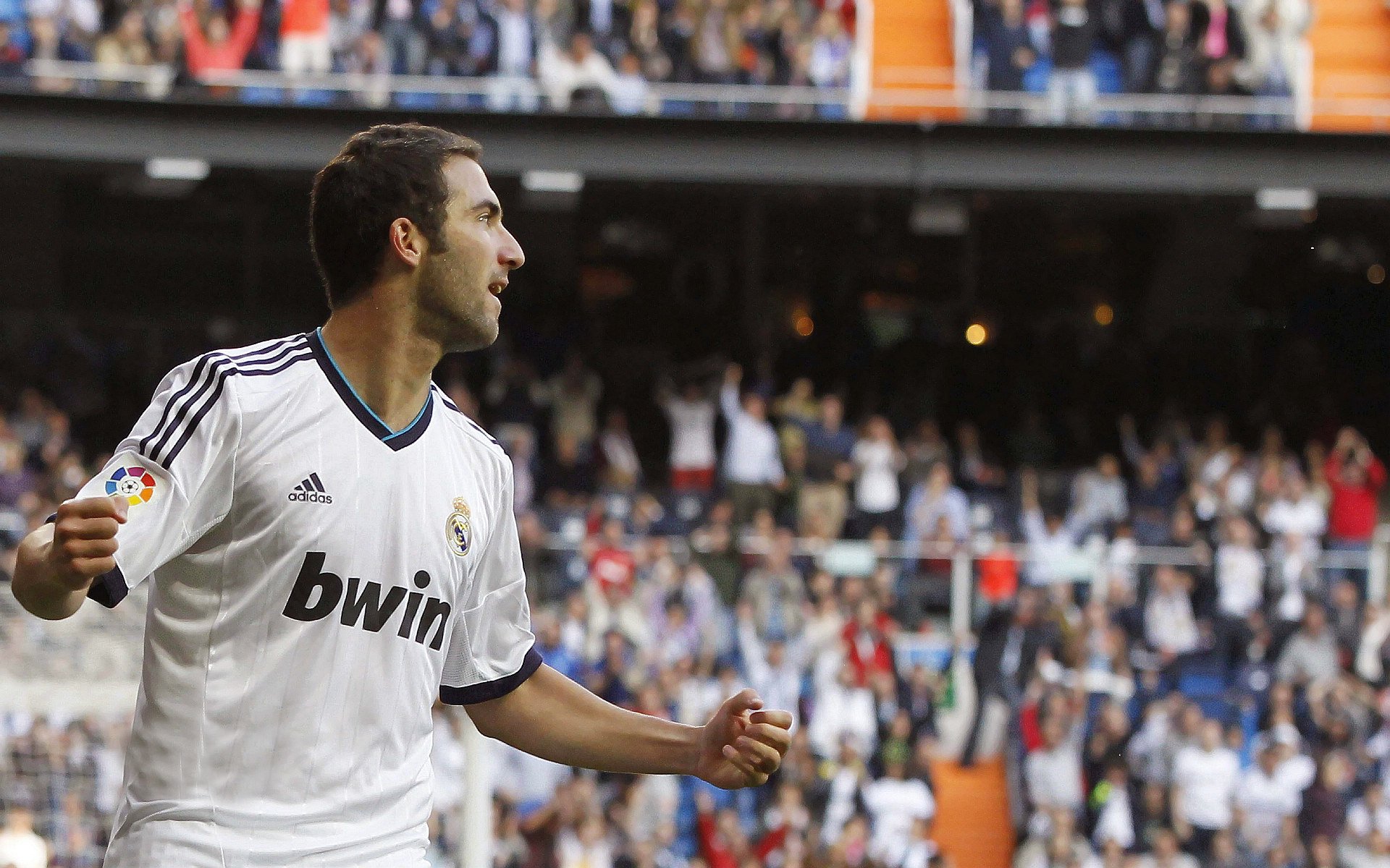 “武术之美：高新体育中心赛场上的身手与气质共舞”